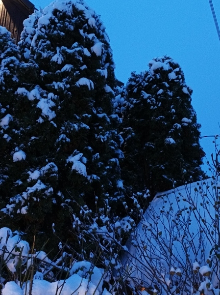 1701205650175