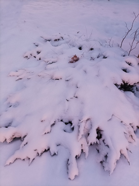 1701205650254