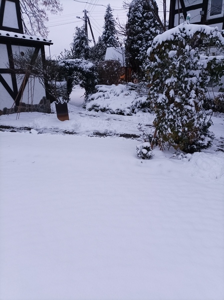 1701205650336