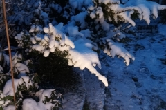 1701205650188