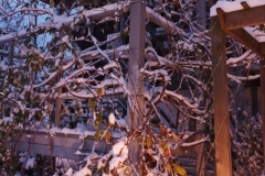 1701205650202