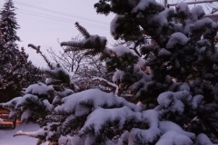 1701205650276