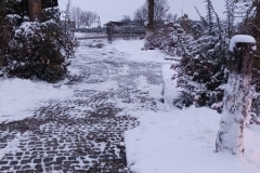 1701205650401