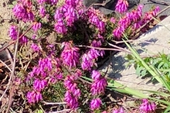 IMG_20240324_140121841