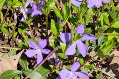 IMG_20240324_140145128