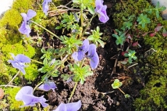 IMG_20240324_140450286_HDR