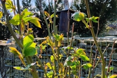 IMG_20240324_140509731_HDR