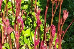IMG_20240324_140539772