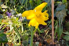IMG_20240324_140642468