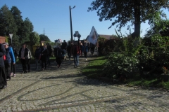 IMG_8008