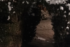 1739489304275