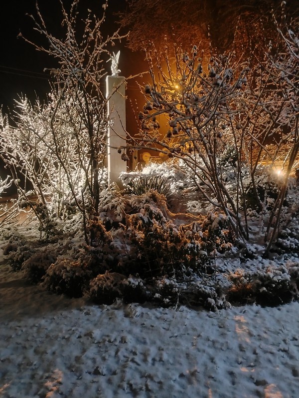 IMG_20251125_210648808