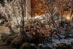 IMG_20251125_210648808