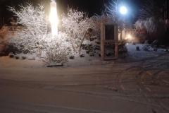 IMG_20251125_210756022
