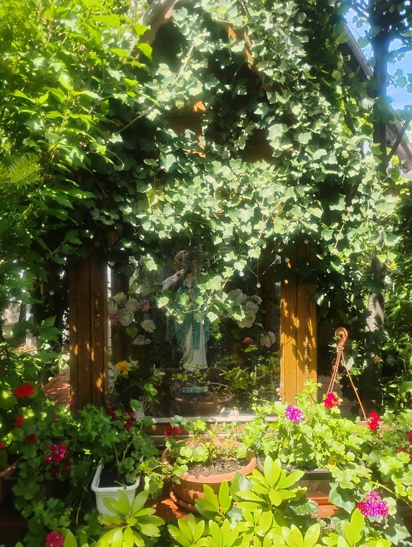 IMG_20260704_141134120_HDR
