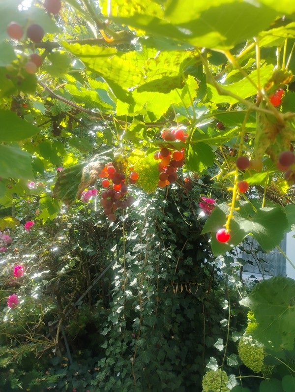 IMG_20260904_145750828