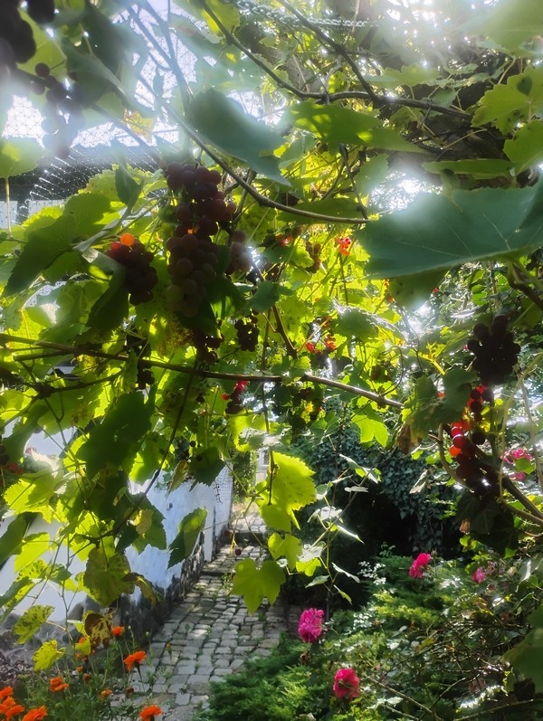IMG_20260904_145849702_HDR