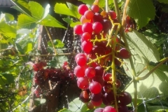 IMG_20260904_145731860