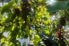 IMG_20260904_145849702_HDR