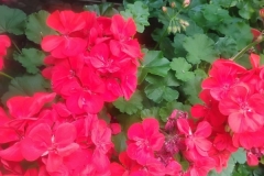 IMG_20260904_145947878