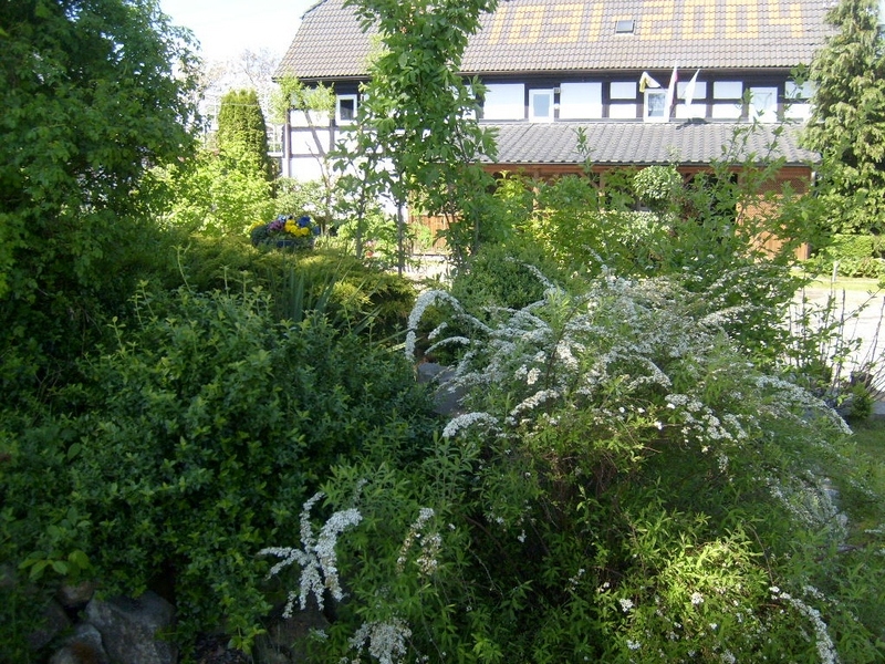 S6300186