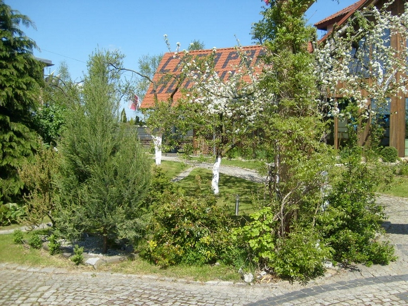 S6300195