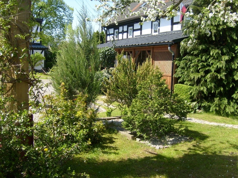 S6300199