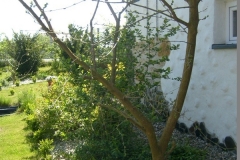 S6300164