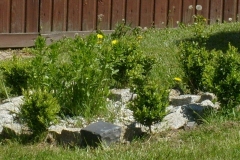 S6300185