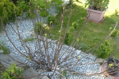 S6300188