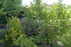 S6300190