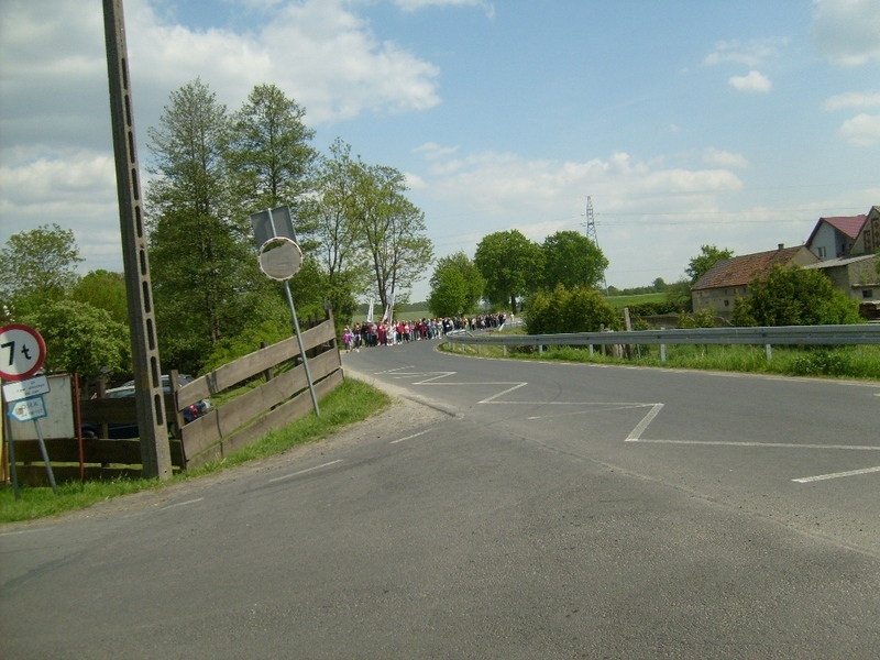 S6300291