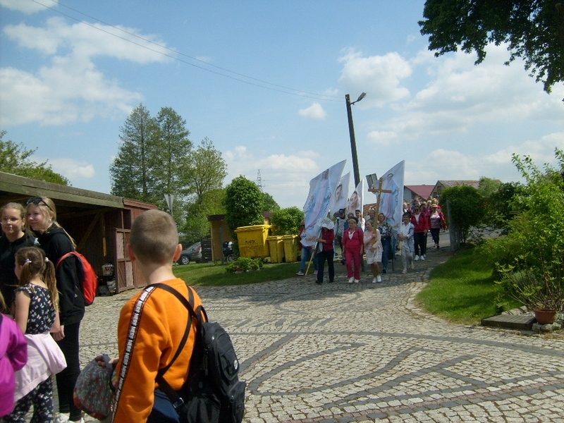S6300296
