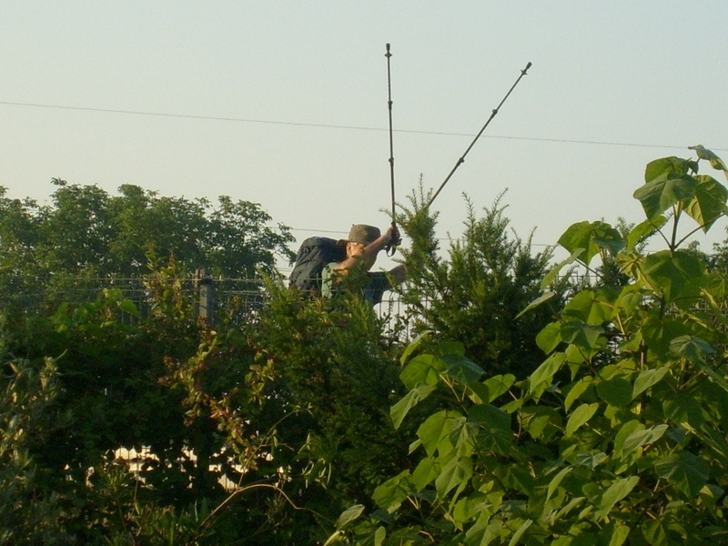 1_S6300816