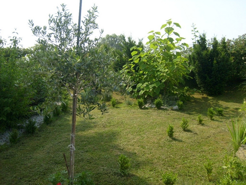 1_S6300854